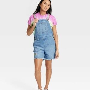 Overall Shortall Denim Rainbow Women's XL Target TakePride
